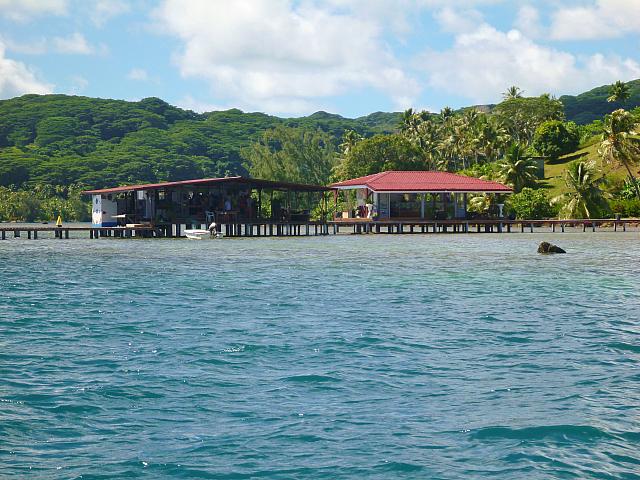 The pearl farm