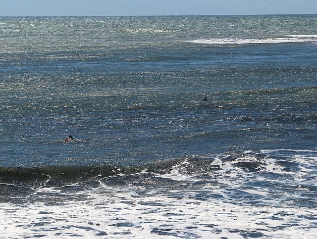 Surfers