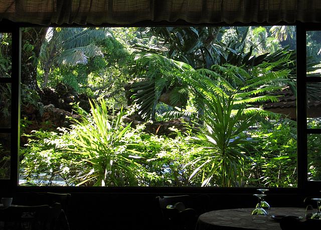 Restaurant garden...from inside