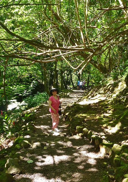 Alice on the trail