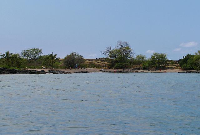 201205A2 618