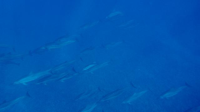201205J 1318