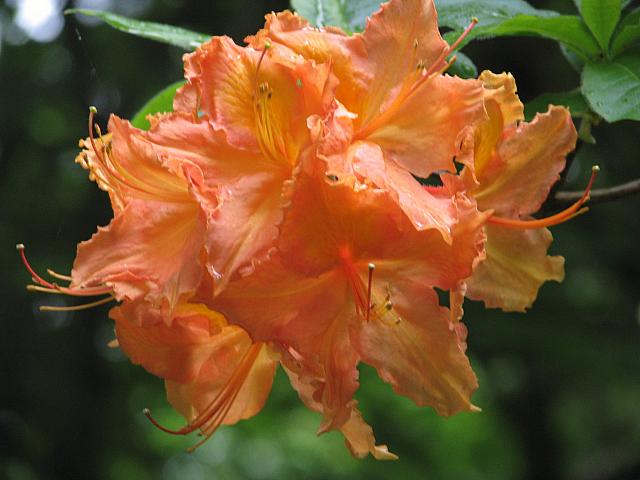 201206 014
