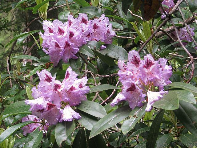 201206 016