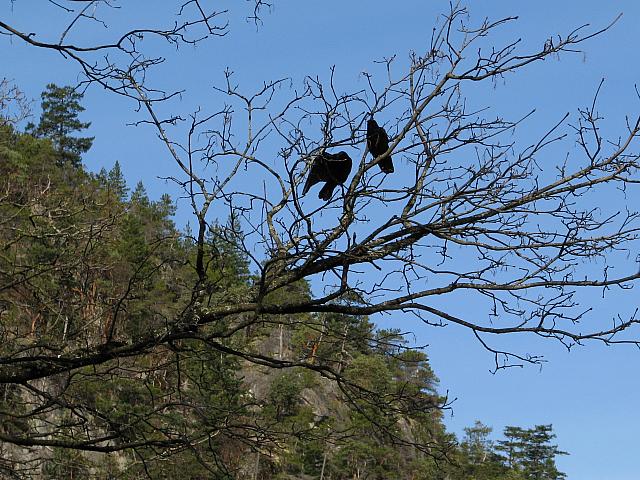 201303BC 003