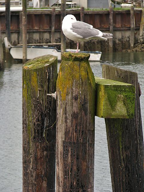 201304 011