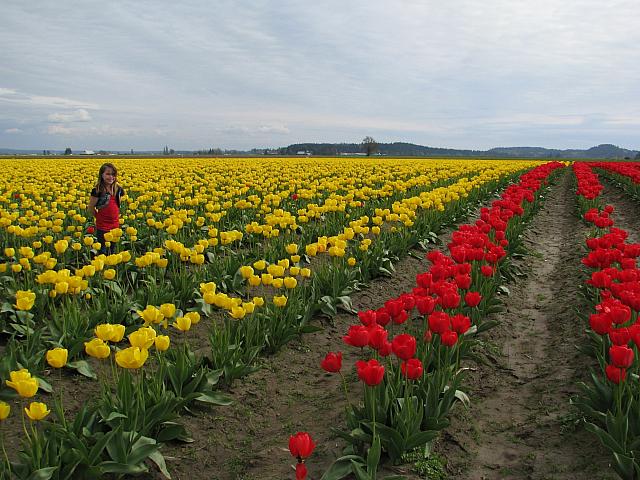 201304 048