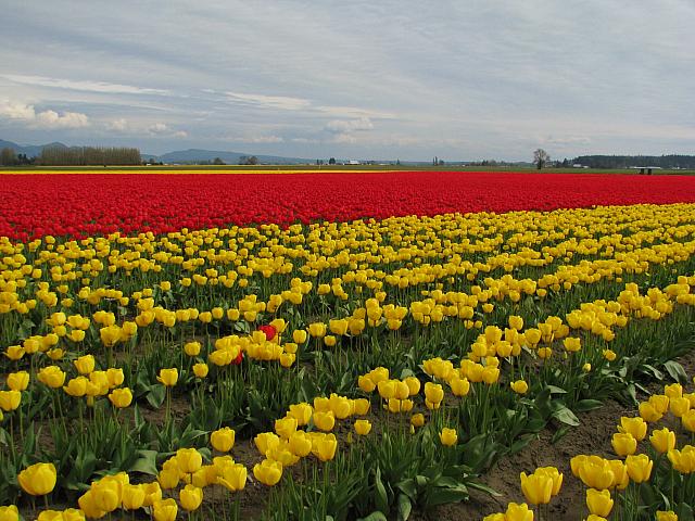 201304 053