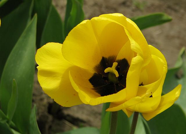 201304 054