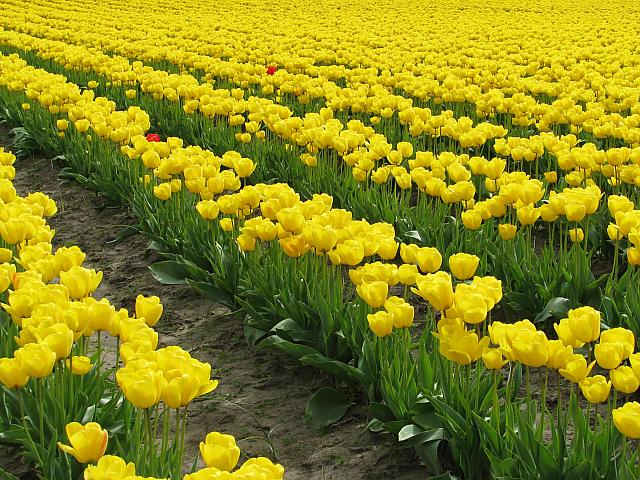 201304 057