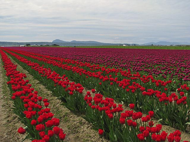 201304 067