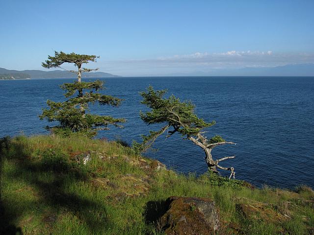 201306 004