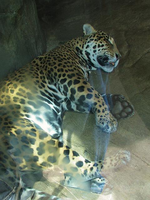 201306 008