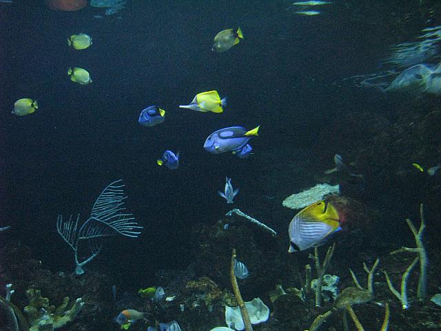 201306 119