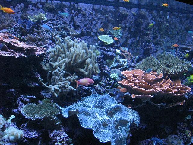 201306 120