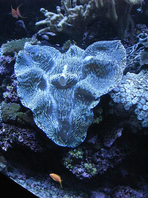 201306 122