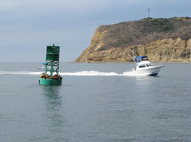 201308SAN 147