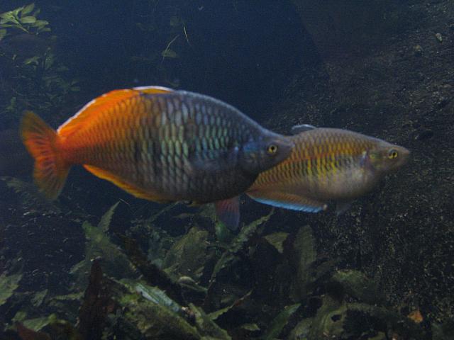 201310SW 936