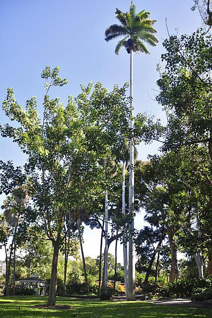 201312 Hawaii Edo 071