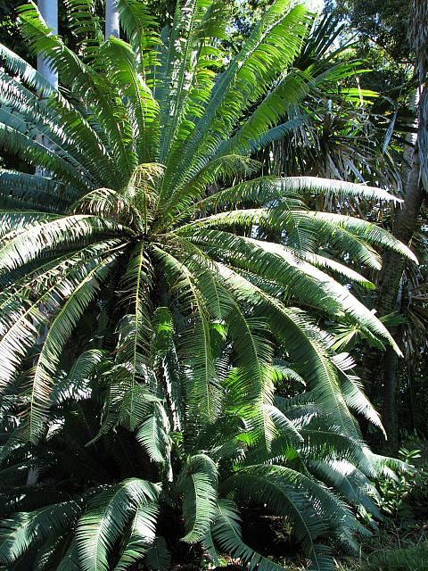201312HawaiiA 211
