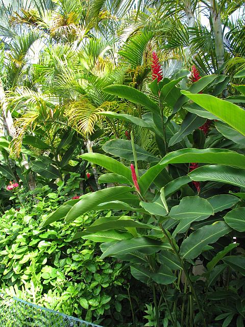 201312HawaiiA 224