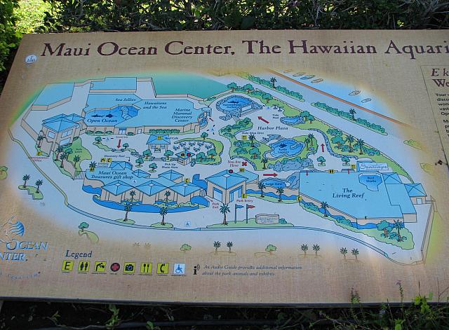 201312HawaiiA 306