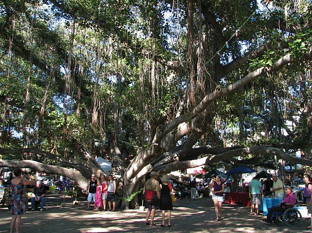 201312HawaiiA 397