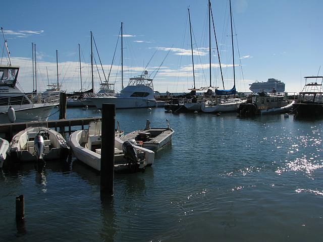 201312HawaiiA 398