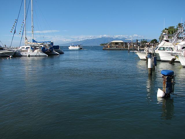 201312HawaiiA 399