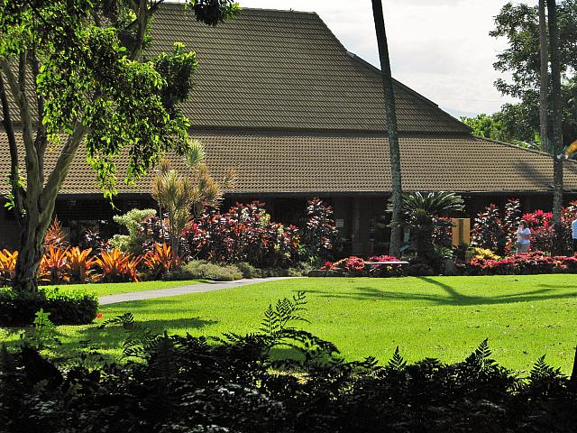 201312HawaiiA 435
