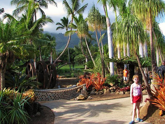 201312HawaiiA 438
