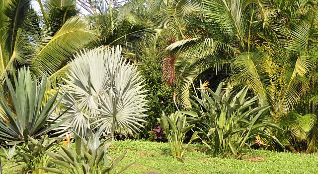 201312 Hawaii C 009