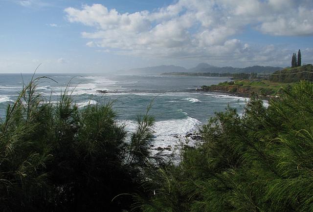 201312HawaiiA 585