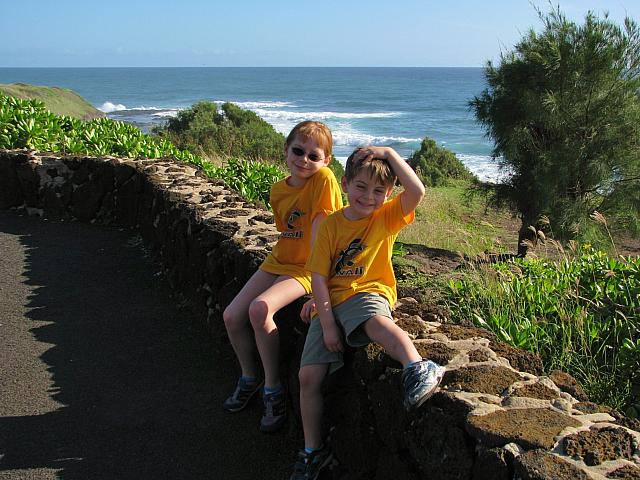 201312HawaiiA 590