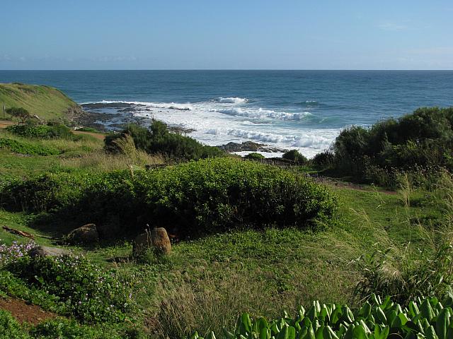 201312HawaiiA 593