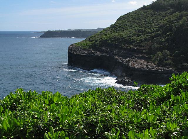 201312HawaiiA 620