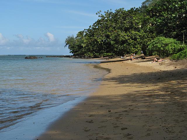 201312HawaiiA 641