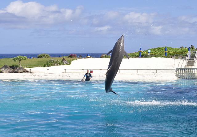 201312 Hawaii C 052
