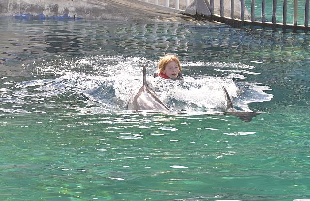 201312 Hawaii C 077