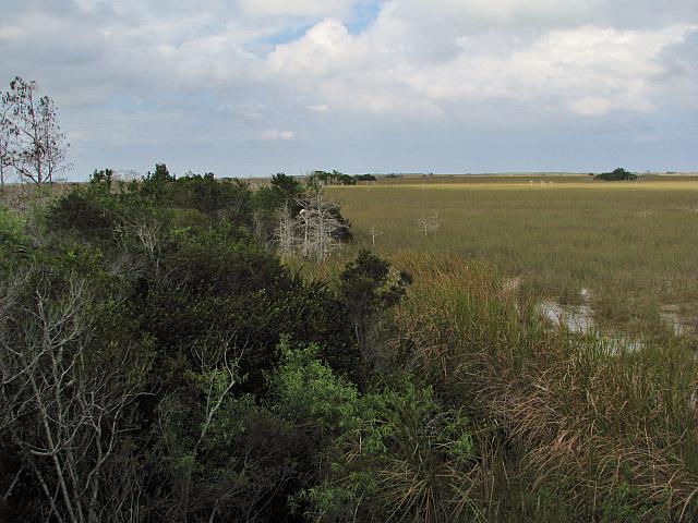 201402Carib 360