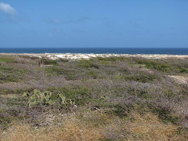 201402Carib 504