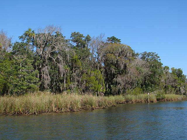 201402Carib 077