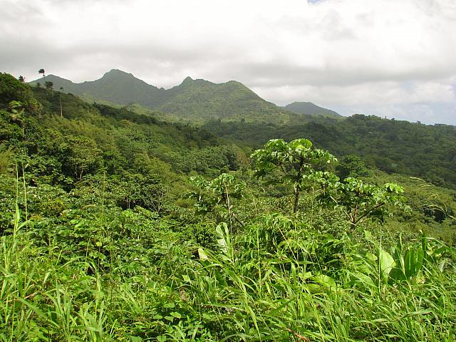 201402Carib 733