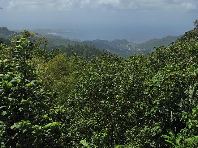 201402Carib 735