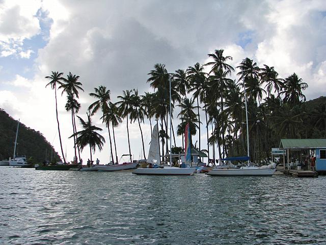 201402Carib 978