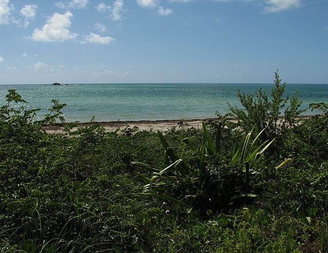 201402Carib 249