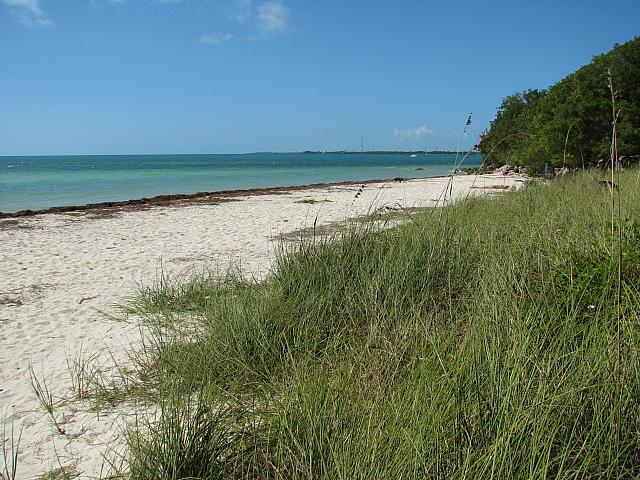 201402Carib 254