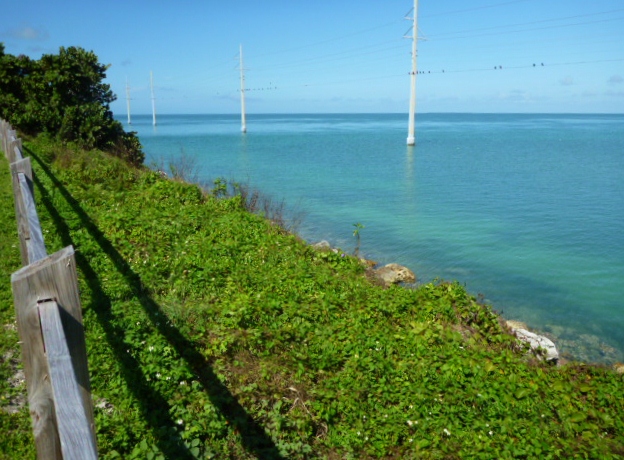 201402CaribK 148