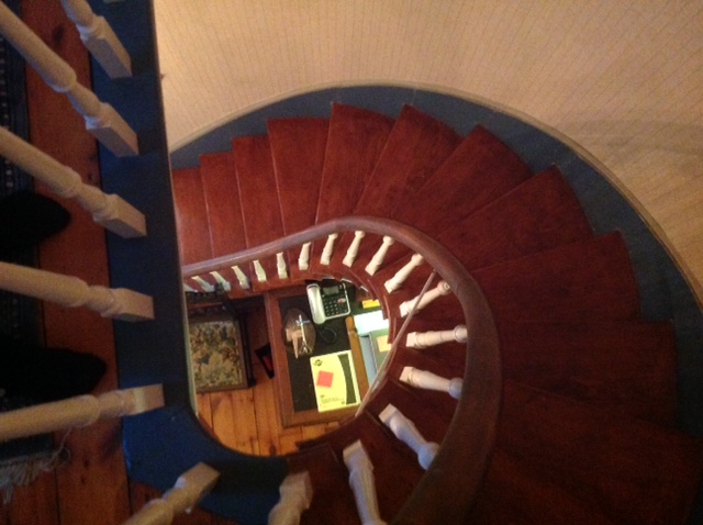 photo 3 (4)