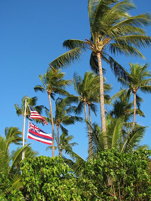 201501 Hawaii 011